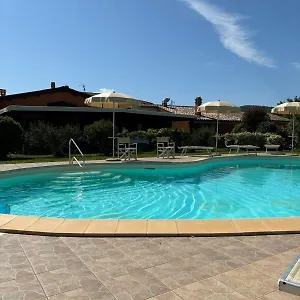 Agrifoglio , Capalbio Italia